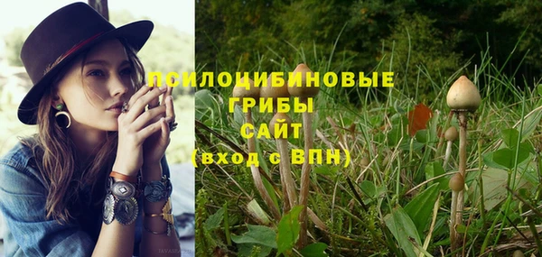 стафф Алексеевка