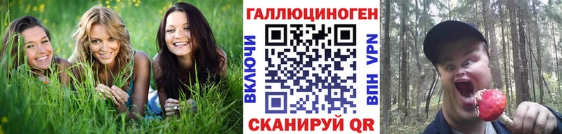 закладки  ОМГ ОМГ ссылки  Псилоцибиновые грибы Psilocybine cubensis  Кириши 