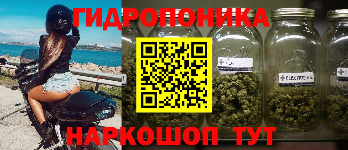 МАРИХУАНА семена  Каннабис индика  МАРИХУАНА гибрид  Вход с VPN  Кириши 